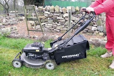 Weibang Virtue 53 Pro pedestrian mower - image: HW